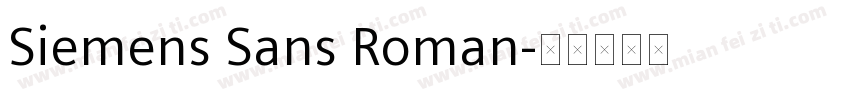 Siemens Sans Roman字体转换
